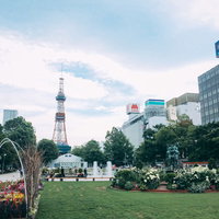 札幌の大通公園とさっぽろテレビ塔の風景の写真