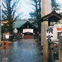 北海道神宮頓宮の参道に散る秋の落ち葉と鳥居の写真