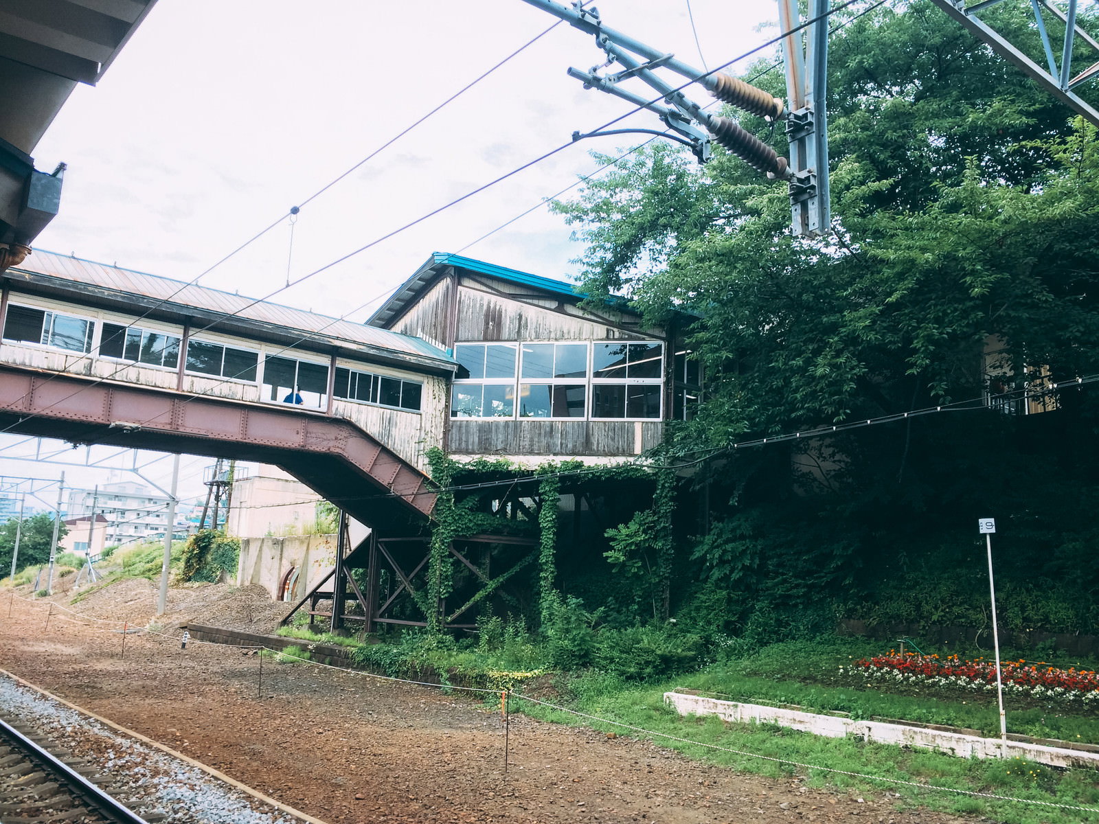 緑に囲まれた南小樽駅のホームと線路の風景