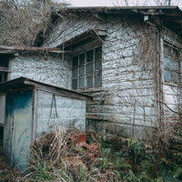 蔦に覆われた廃屋と錆びた小屋の写真