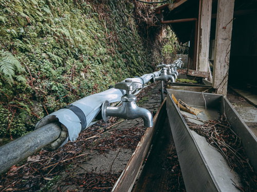 並んで飲んだ昔を思い出すどこまでも続く蛇口たちが錆びて並ぶ廃校