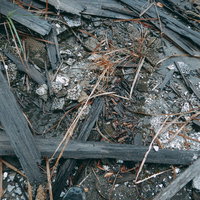 何かが燃えた跡（俯瞰・廃墟）の写真