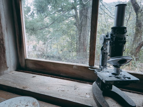 日当たりがいい廃校の理科室跡に残された古い顕微鏡