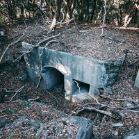 落ち葉に埋もれる廃水路の風景：放置された排水設備の写真