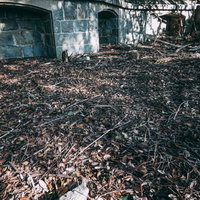 踏み放題の落ち葉と廃建物の不気味な風景 - ホラーの写真