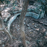 森の中に残された朽ちた廃墟のベンチ--自然に侵食される木製の椅子の写真