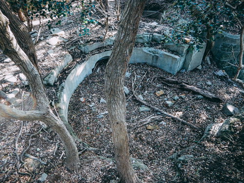 森の中に残された朽ちた廃墟のベンチ--自然に侵食される木製の椅子