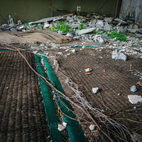 畳の隙間から生える雑草と砕けたコンクリートの廃墟の写真