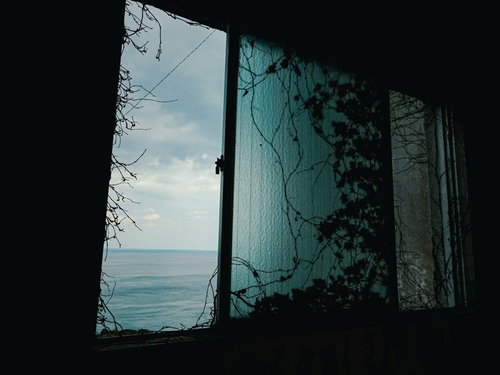 アンニュイな廃墟の窓から見える海と蔦が絡まる古い建物