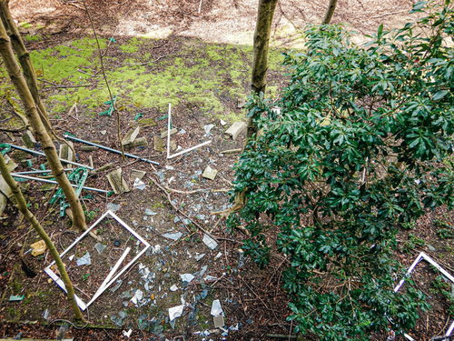 雑草の生えた地面に散らばるガラス破片と荒廃した風景