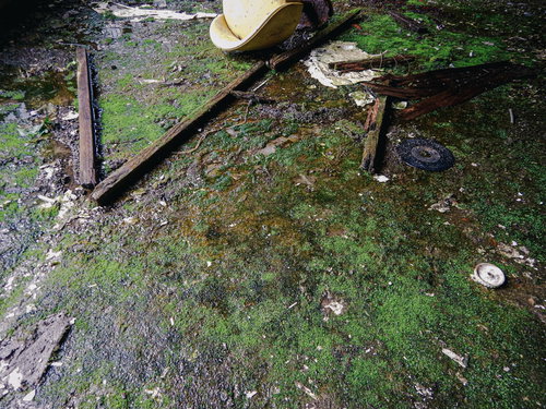 苔と散らばる色々な破片が積もった朽ちた地面