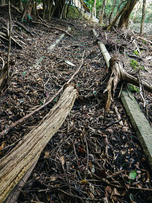 廃墟に朽ちた木片と落ち葉が積もる地面
