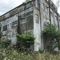美唄炭鉱の映画館の廃墟（草木に侵食されたコンクリート廃工場）の写真