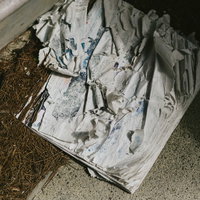 数年間雨ざらしで投棄された湿った雑誌の束の写真