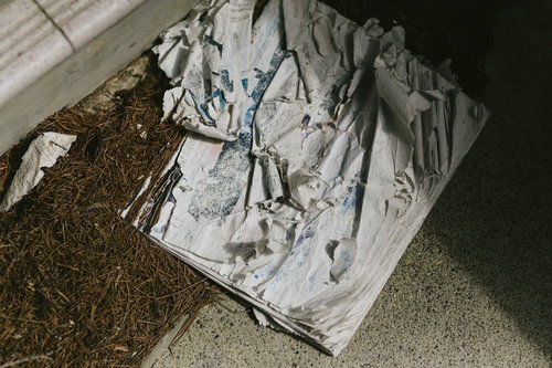 数年間雨ざらしで投棄された湿った雑誌の束