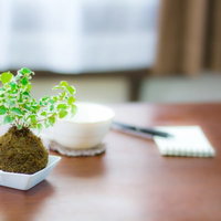 木のテーブルに置かれたコーヒーカップと白いメモ帳の写真