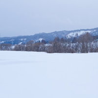 白い雪に覆われた山々と青い空が広がる冬の山岳風景の写真