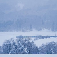 屋根や畑に雪が積もった静かな田舎の冬景色の写真