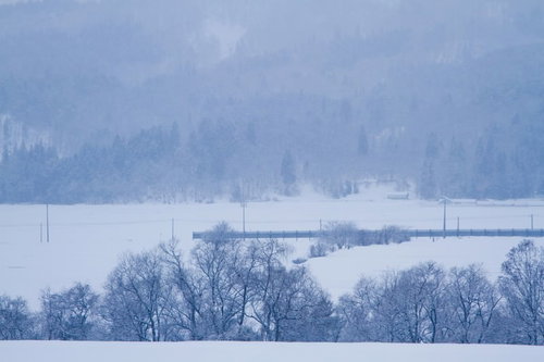 屋根や畑に雪が積もった静かな田舎の冬景色