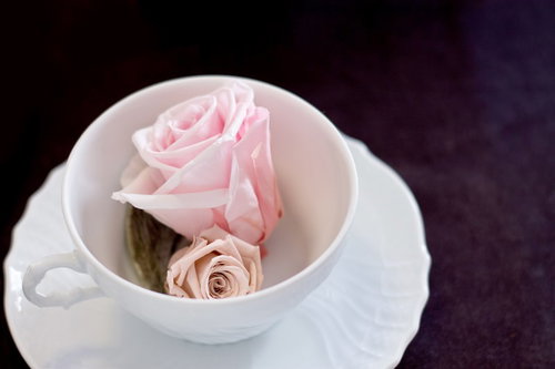 白いカップの中に赤いバラの花が一輪飾られた接写