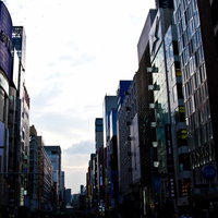 夕方のオレンジの空の下でネオンが灯り始める銀座の写真