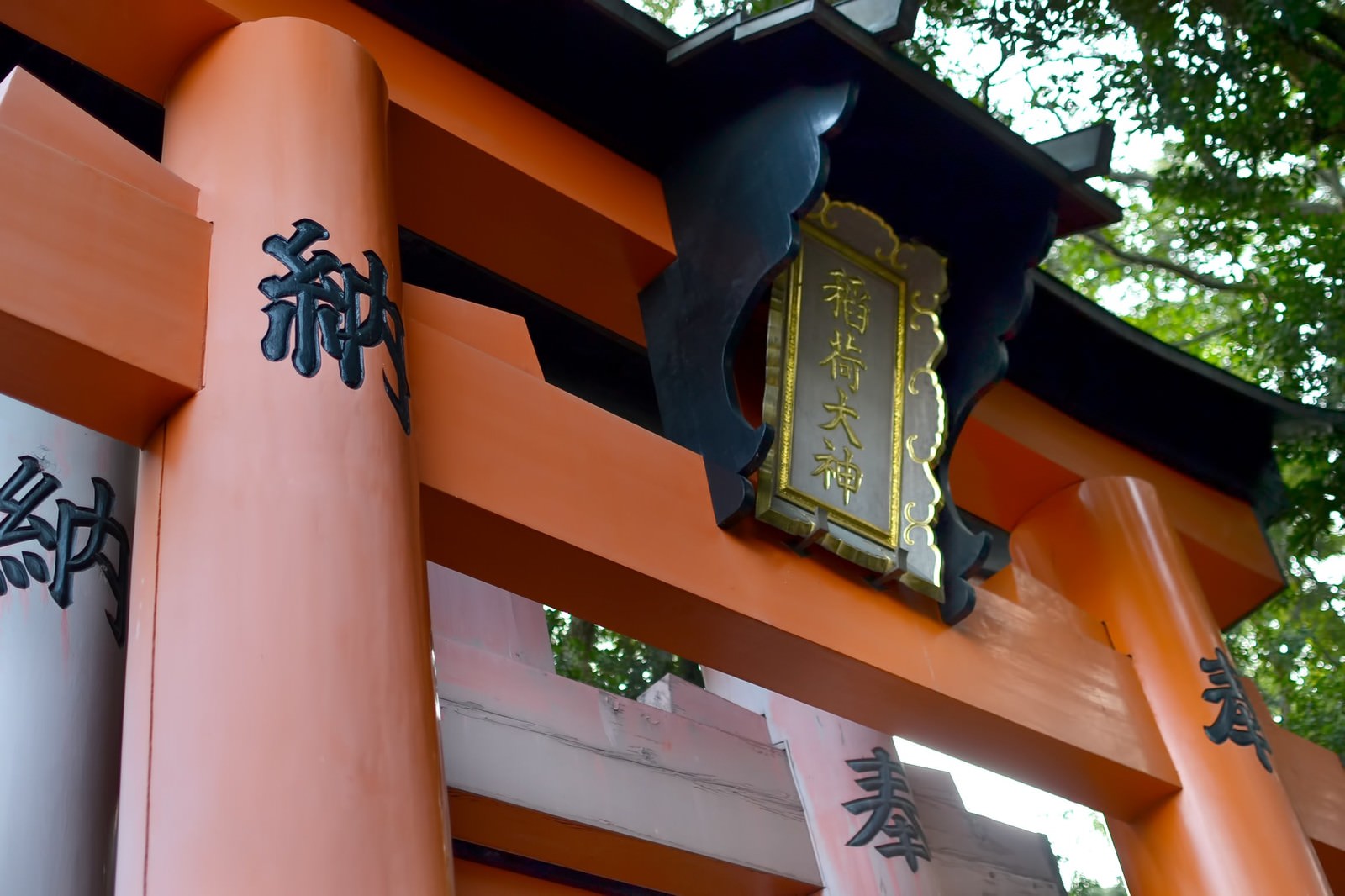 朱色の鳥居が並ぶ稲荷大神の参道