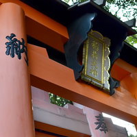 朱色の鳥居が並ぶ稲荷大神の参道の奥行きある風景の写真