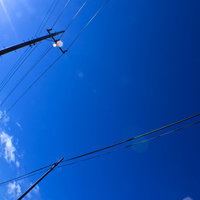 晴れた青空を背景に電線が伸びる電柱の見上げた風景の写真