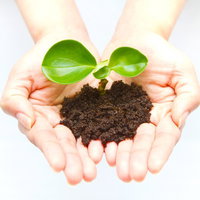 土が付いた手のひらに緑の小さな苗を乗せるエコと環境のイメージの写真
