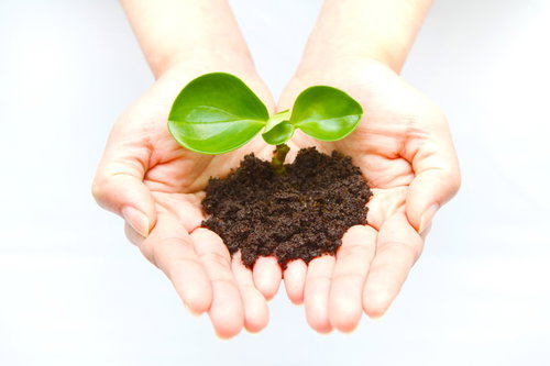土が付いた手のひらに緑の小さな苗を乗せるエコと環境のイメージ