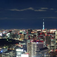 スカイツリーと東京の夜景（六本木ヒルズ展望台から）の写真