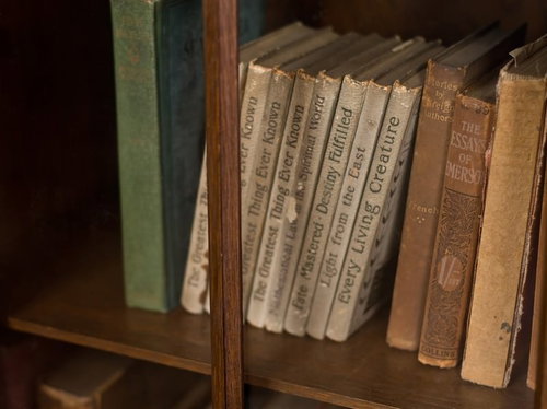 木の本棚に背表紙が並ぶ洋書のコレクション