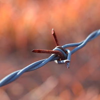 鋭い棘が巻き付くセキュリティ用の有刺鉄線の接写の写真