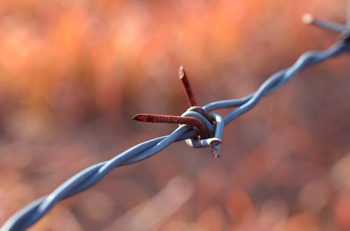 鋭い棘が巻き付くセキュリティ用の有刺鉄線の接写