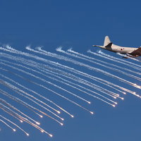 その身を護る炎の写真