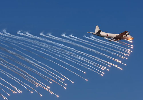 その身を護る炎