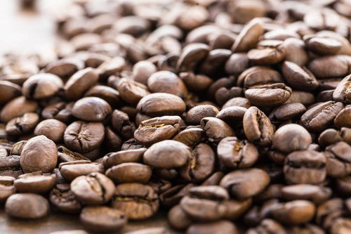 浅煎りの珈琲豆を並べた焙煎度合い比較