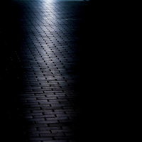 日差しが差し込むレンガ敷きの道と木漏れ日の写真