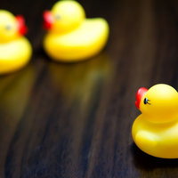 キスする現場を目撃するあひるちゃんの写真