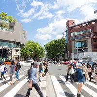 原宿・神宮前交差点の人混み：昼間の繁華街の人出風景の写真