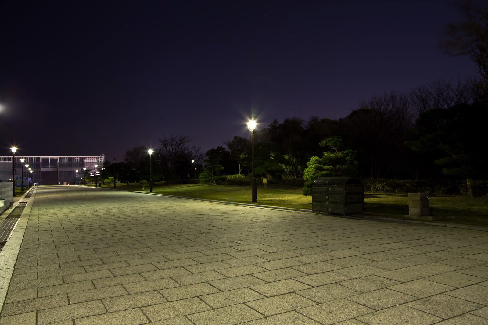 展望広場へ続く夜の葛西臨海公園