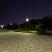 夜の葛西臨海公園の展望広場へと続く暗い遊歩道の写真