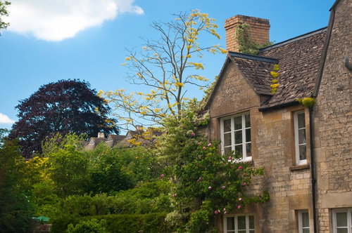 蔦が絡まるレンガ壁と白い窓のウィンチクームの住宅
