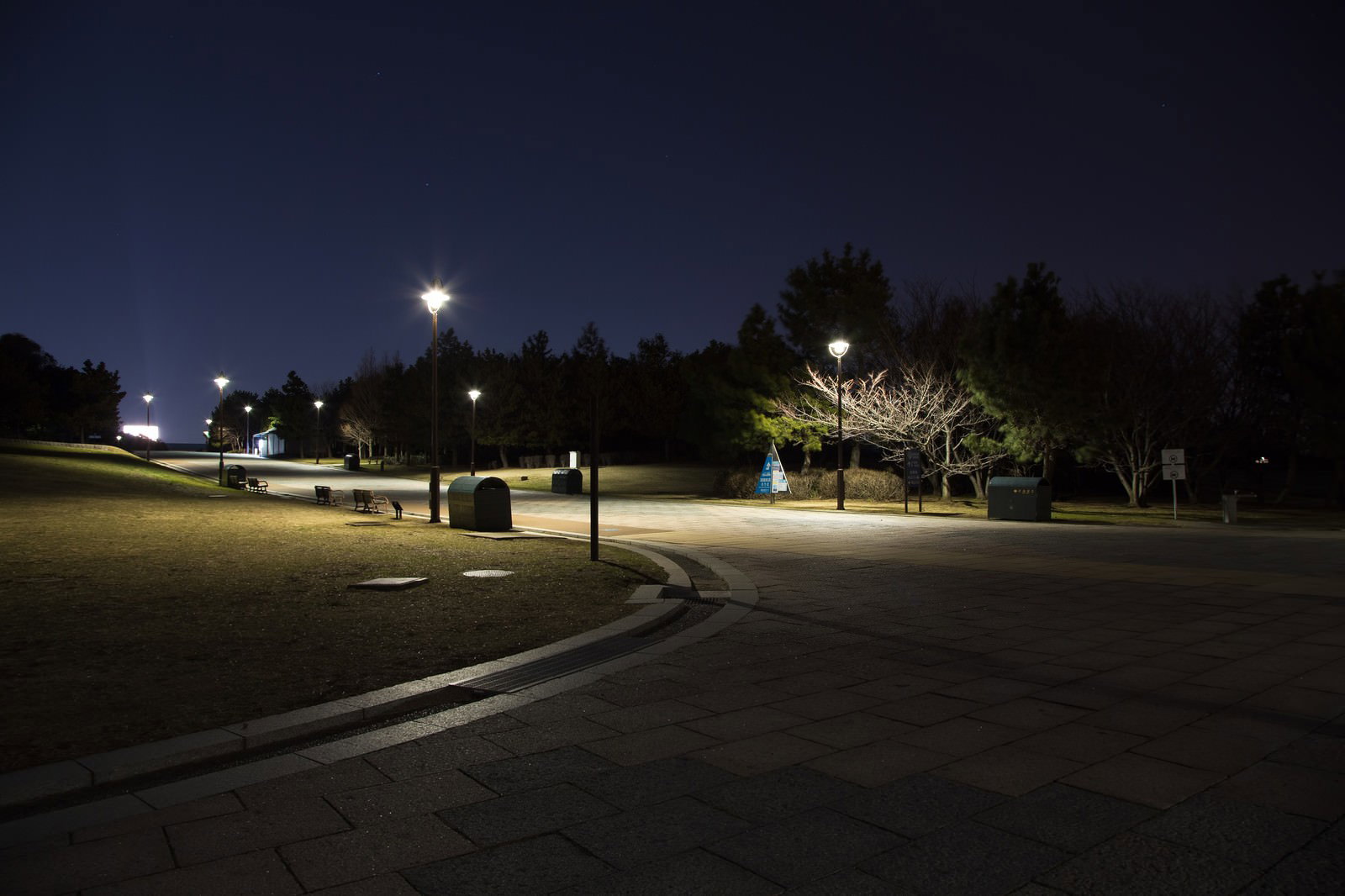 月明かりの深夜の葛西臨海公園