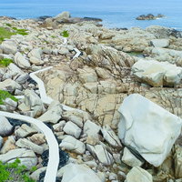 奄美十景ムシロ瀬の花崗岩海岸と遊歩道の写真
