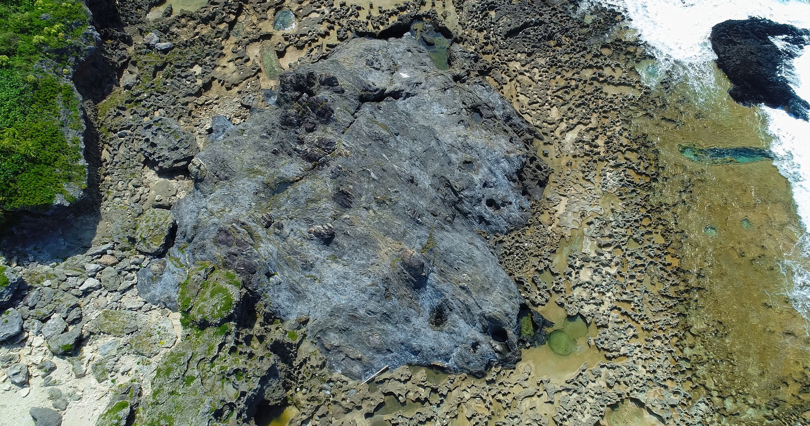 海岸に露出したメランジ堆積物の複雑な地層構造を上空から撮影