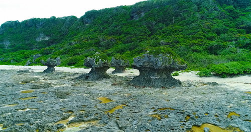 徳之島の犬の門蓋、隆起珊瑚礁の奇岩、天然記念物の磯場