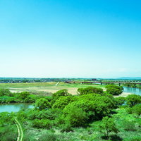 ドローン撮影、渡良瀬川上空の河川敷風景と蛇行する流れの写真