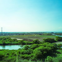 渡良瀬川を空撮した河川敷の風景 古河地域のドローン撮影の写真