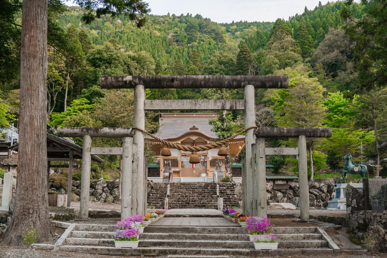 伊香具神社の伊香式鳥居越しに見える本殿と背後の樹林